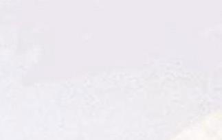 什么人不能吃椰子粉,椰子粉的功效有哪些