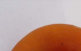 柿子饼起源,原料和做法 柿饼源于哪里