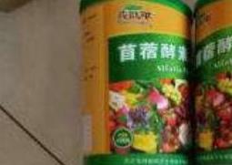 苜蓿酵素什么人不能喝（长期喝苜蓿酵素好吗）