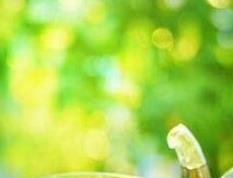 红茶的功效与作用 红茶的功效与作用及副作用