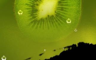 猕猴桃的食用方法和药用价值 猕猴桃的食用方法和药用价值是什么