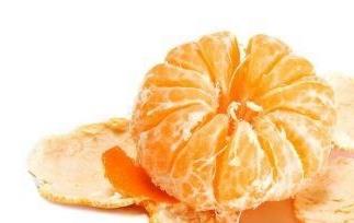 沙糖桔栽培技术 沙糖桔栽培技术视频