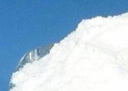 水苏糖的功效与作用（乳铁蛋白水苏糖的功效与作用）