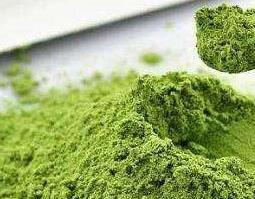 蒲公英粉怎么喝（蒲公英粉怎么用）