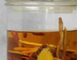 何首乌酒的功效与作用（何首乌泡酒有什么功效）