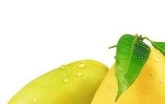 女性吃芒果的坏处（女性吃芒果的坏处是什么）