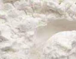 野百合粉的功效与作用（野百合粉的功效与作用及食用方法）