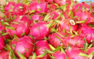 火龙果营养价值有哪些（火龙果营养价值有哪些50字）