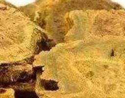 大黄和土大黄的鉴别方法（大黄和土大黄的鉴别方法是）