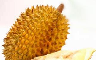 榴莲怎么吃 榴莲怎么吃口感更好