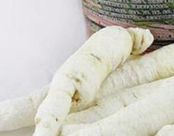 糖参的功效与作用及禁忌 糖参的功效与作用及禁忌