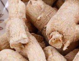 泡参怎么吃（泡参的水可以吃吗）