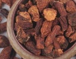 蒲公英根怎么炒（蒲公英根怎么炒才能泡水喝）