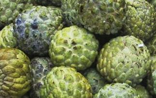 释迦果图片 释迦果图片 功效