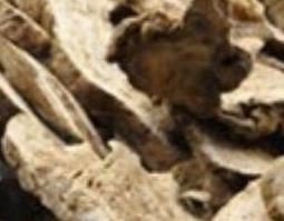 生白术的功效与作用 生白术的食用方法