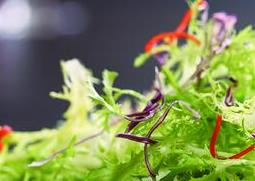 口苦的原因和治疗方法 感冒口苦的原因和治疗方法