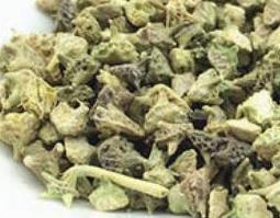 中药七厘子的功效与作用（中药七厘子的功效与作用图片）