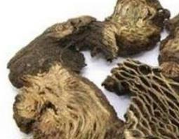 升麻的功效与作用（升麻的功效与作用,升麻的副作用）