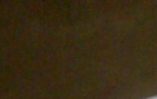 鲜奶木瓜炖雪梨 鲜奶木瓜炖雪梨的做法