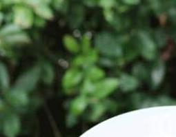 炙酒有哪些方法 炙酒怎么做