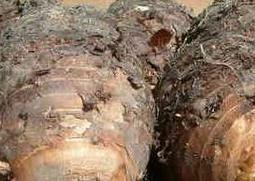 酱油变质了还能吃吗 酱油变质了还能吃吗为什么