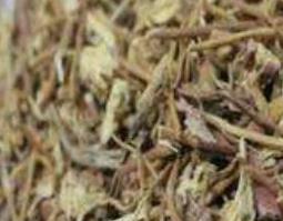 薇草的功效与作用 薇草是什么