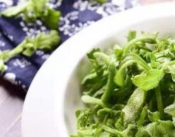 冰菜的功效与作用 冰菜的功效与作用及食用方法