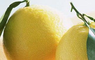 柚子的产地,品种和产地环境（柚子的产地,品种和产地环境特点）