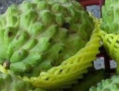 释迦果的功效有哪些（释迦果的功效有哪些作用）