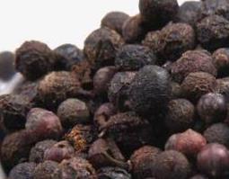 荜澄茄的功效与作用（荜澄茄的功效与作用图片）