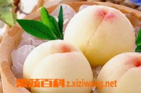 病人吃桃子的坏处（病人吃桃子好吗）