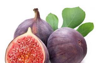 无花果的特殊功效与作用(无花果的特殊功效与作用是什么)