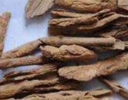 地骨皮的功效与作用及药用价值 地骨皮的作用及功效与作用