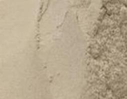 沙参粉怎么吃 沙参粉的食用方法