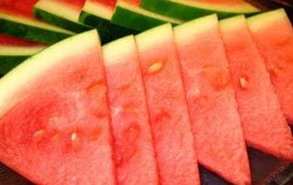 西瓜皮的妙用(西瓜皮的妙用绘画)