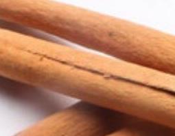 中药苦桂的功效与作用 中药苦桂的功效与作用图片