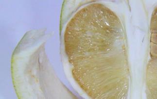 孕妇可不可以吃柚子呢（请问孕妇能不能吃柚子）