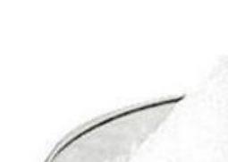 什么是水苏糖(什么是水苏糖在什么食物中最多)