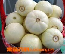 白香瓜怎么吃 白香瓜怎么吃法