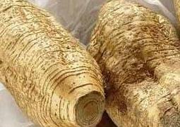 葛根能丰胸吗（吃木瓜葛根能丰胸吗）