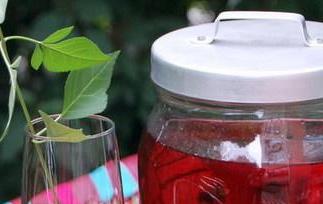 杨梅酒制作方法和步骤 杨梅酒的制作过程窍门