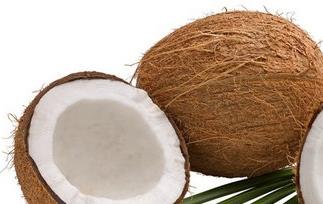 椰子肉有什么营养（椰子肉有什么营养价值和功效）