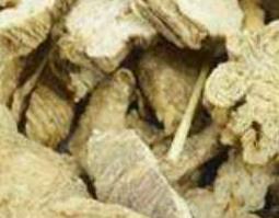 泡参的功效与作用及禁忌 泡参的功效与作用及禁忌是什么