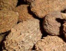 砂仁的功效与作用及食用方法 香料砂仁的功效与作用及食用方法