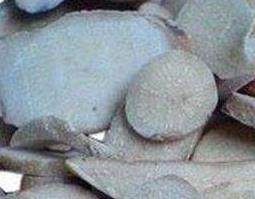 生白芍的功效与作用及药用价值（生白芍的作用与功效与作用）