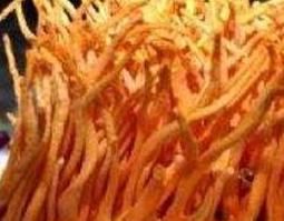 北冬虫的功效与作用（北冬虫的功效与作用图片）