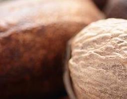 玉果的功效与作用及禁忌 玉果的功效与作用禁忌果图片