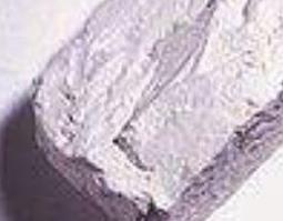 甘土的功效与作用（土甘草的功效与作用）