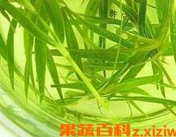 竹子叶泡水喝的功效与作用（竹子叶泡水喝的功效是什么）