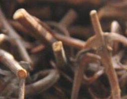 中药钩藤的功效与作用 中药钩藤的功效与作用及禁忌症